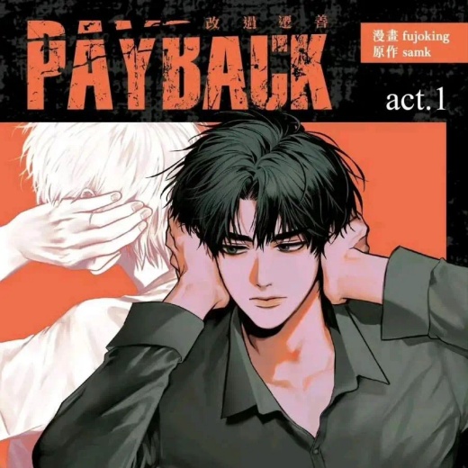 偿还payback